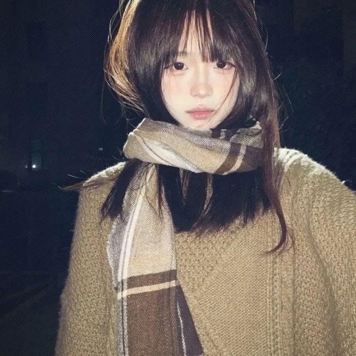 狮子山下的故事粤语